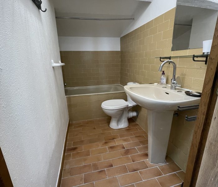 Large House Bathroom